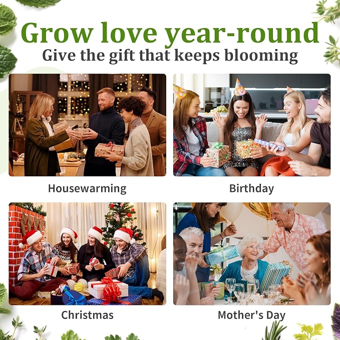 Indoor Herb Garden Starter Kit, 10 Non-GMO Herb Seeds for Basil, Parsley, Thyme, Mint, Cilantro, Dill, Oregano, Chives, Sage, Mustard Including 10 White Pots, Nutritional Soil, Ideal Xmas Gift