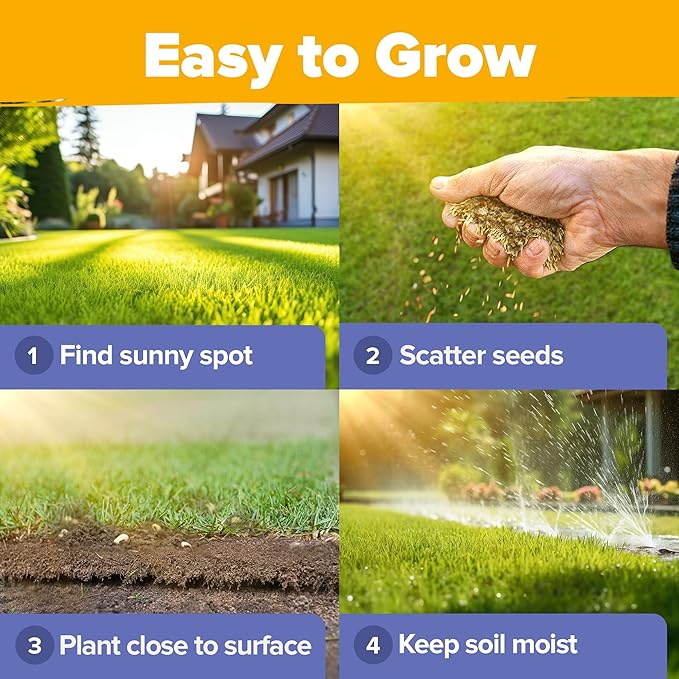 HOME GROWN Wildflower Seeds Bulk Mix | 63,200+ Non-GMO Perennial Flower Seed for Outdoor Planting | 19 Varieties to Attract Bees, Butterflies & Hummingbirds | 4 oz