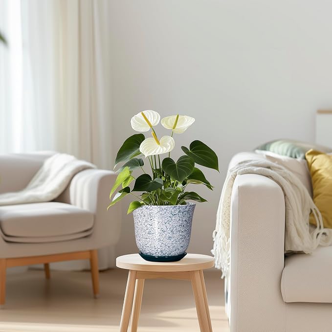 5.6 Inch Plant Pot - Ceramic Plant Pots for Indoor Outdoor, Round Orchid Succulent Pots with Drainage Hole and Saucer, Modern Flower Pot, Home Office Decor, Green-White