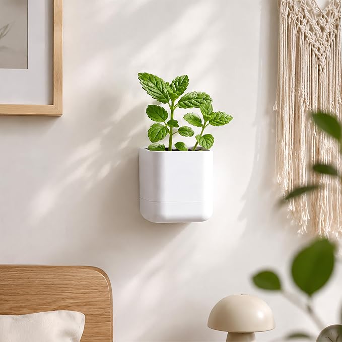Phoenix Vine 3.5 Inch Wall Mounted Self-Watering Planter Pot for Indoor Houseplants and Herbs | Hanging Planter for Window Sills, Bathroom Walls, Home & Office Décor, White, Set of 6, 01-A-D-6