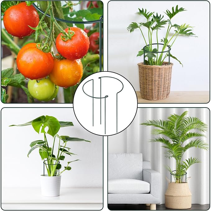 12 Pack 24 Inch Tall Plant Support Stakes, 10" W x 24" H Half Round Peony Cages and Support, Heavy Duty Green Plant Cage Ring Support for Indoor and Outdoor Peony Rose Tomato Hydrangea Flower