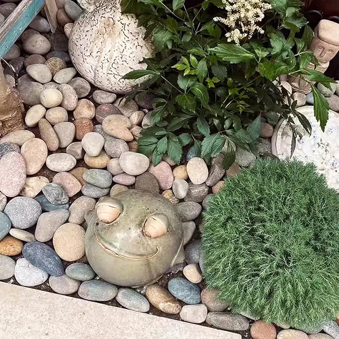 Natural River Rocks-40 lbs of Pebbles and River Stones,1-2 Inch Plant Rocks for Landscaping,Garden Paving,Crafting,Walkways,and Outdoor Decorative Stone,Mexican Beach River Rocks