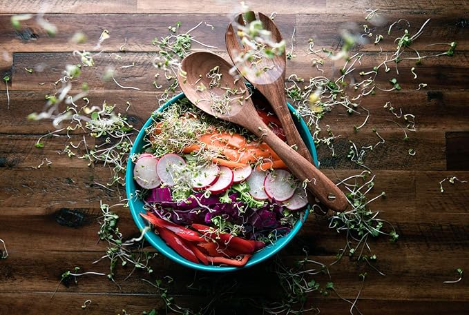 Rainbow Radish Sprouting Seed Mix | Heirloom Non-GMO Seeds for Sprouting & Microgreens | Contains Red Arrow, Purple Triton & White Daikon Radish Seeds 1 LB Resealable Bag | Rainbow Heirloom Seed Co.