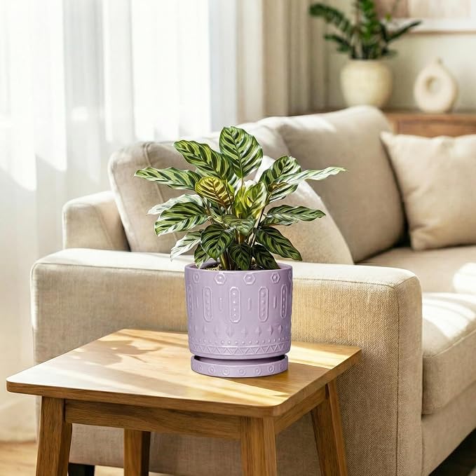 Eightpot 5.6 Inch Flower Pot Saucers, Plant Trays for Pots for Indoor Outdoors, Round Ceramic Plant Saucer, Modern Plants Plates to Catch Water, Decorative Plants Dishes to Catch Water, Purple