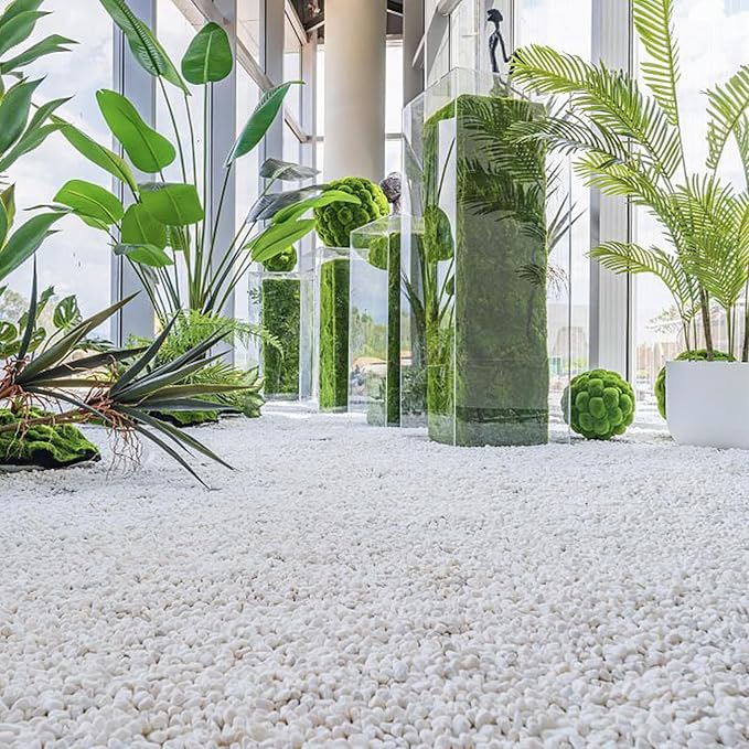 15lbs White Rocks, 3/8 Inch Small White Pebbles for Plants, Vase, Garden, Decorative Pea Gravel for Landscaping, Polished