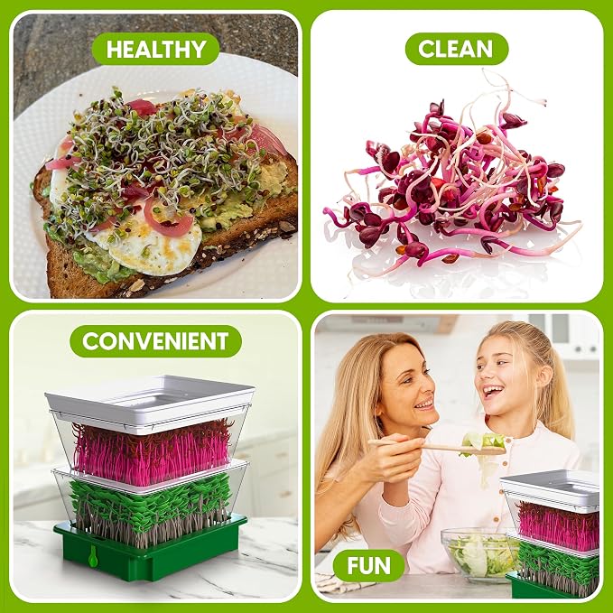 ZESTIGREENS 2-Tier Seed Sprouter Kit with USA-Grown Broccoli & Alfalfa Seeds – Stackable Sprouting Tray with Ventilated Design & Easy Sink-Drain Spout