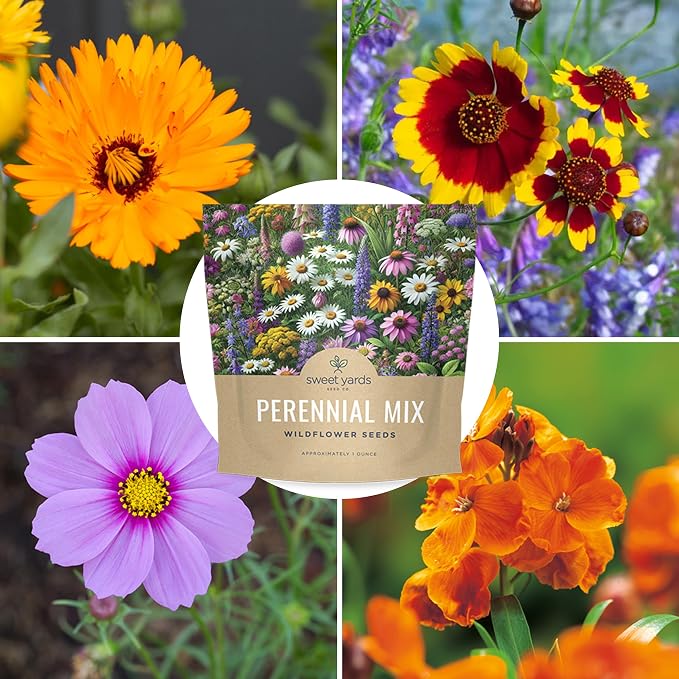 Perennial Wildflower Seeds Mixture - Bulk 1 Ounce Packet - Over 15,000 Pure Live Seed - Open Pollinated and Non GMO…