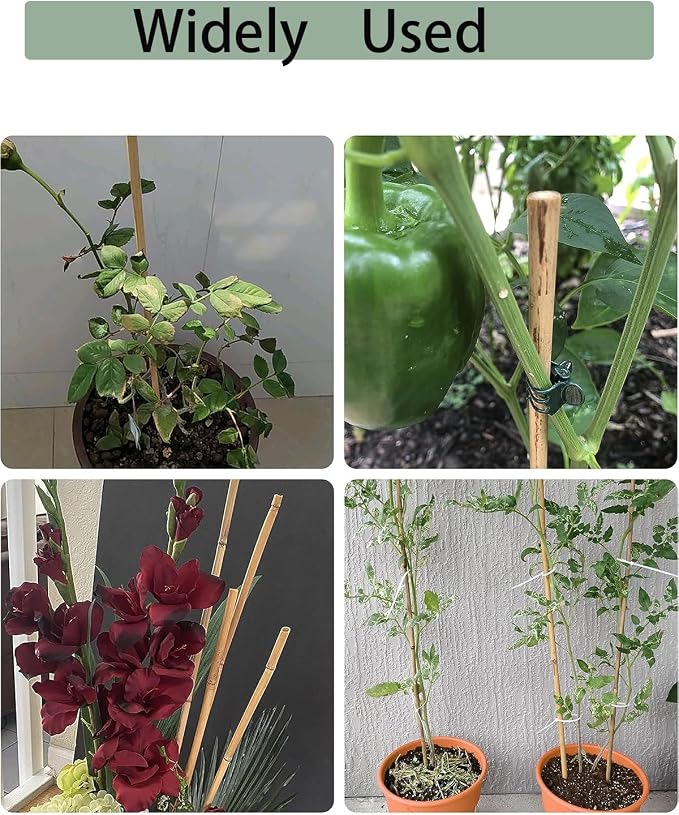 30 Pcs Natural Bamboo Plant Stakes - 16" Garden Sticks with Plant Ties for Plant Support, Tomatoes, Vegetables & Indoor Potted Plants
