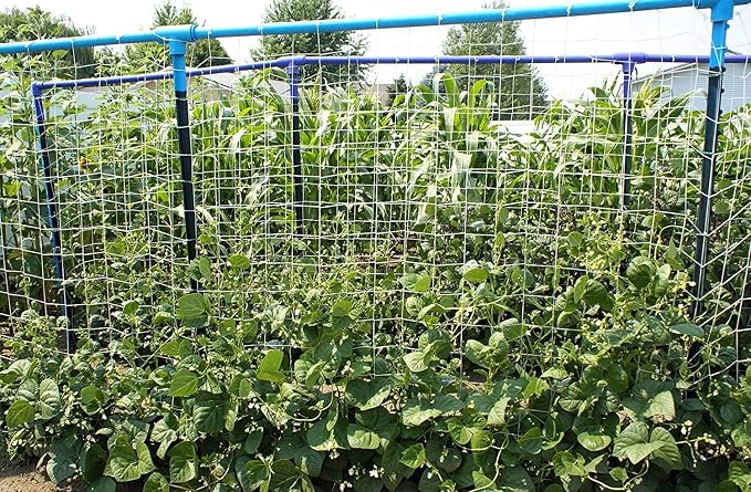 Soft Mesh Nylon Trellis Netting Roll - 5 x 350 ft Heavy Duty Garden Netting for Climbing Plants,Garden Melons Vegetables, Grape Racks, Hydroponic, 5x350ftnet