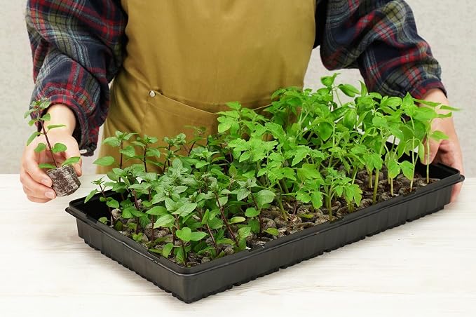PlantBest 72 Coconut Coir Pellet Seed Starting Greenhouse Kit – 35mm Peat-Free Pellets, All-in-One Seed Starter Tray with Humidity Dome, Sustainable Indoor Germination
