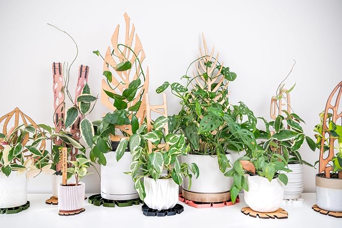 Treleaf Zella Grande Extension Kit - Wooden Extendable Plant Trellis (2 Extensions) for Indoor Climbing Houseplants - Modular Plant Support