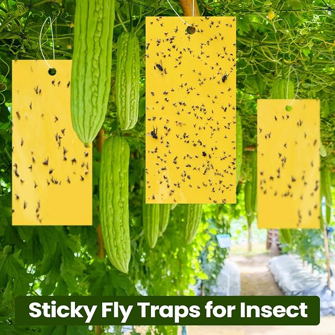 Qualirey 150 Pcs 7.8 x 3.9 Inch Yellow Sticky Traps for Plant Double Sided Sticky Trap for Gnats with Twist Ties Fly Traps for Fruit Insect Fungus Bugs Indoor Outdoor