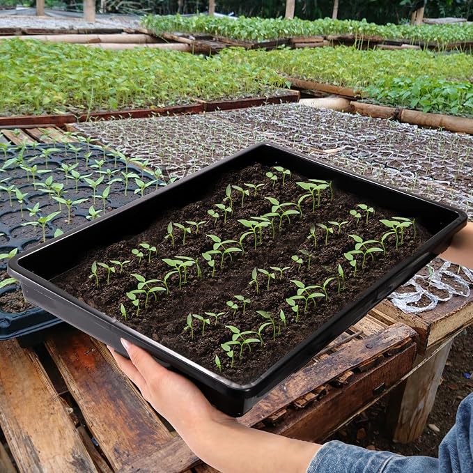 ZAVOOS 6 Pack Nursery Potting Trays, Plastic Seedling Starter Tray with No Drain Holes, Easy Watering Flat Garden Plant Growing Tray for Indoor Greenhouse Germination, 17.3'' x 11.6'' x 1.3''