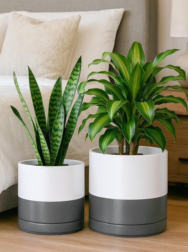 D'vine Dev 8.2 Inch & 10 Inch Ceramic Planter Pot for Plants with Drainage Hole and Saucer, Large Plant Pots Set, White/Speckled Grey, 94-G-L-6