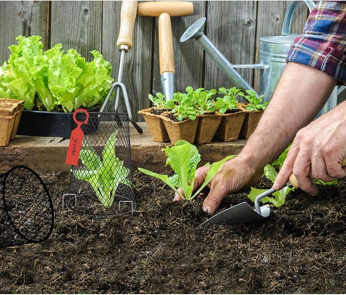 20 Pcs 6.8"×7.4" (Multiple Sizes/Quantities Available) Seedling Plant Protectors from Animals, Chicken Wire Plant Cage Garden Cloche to Protect Plants Vegetables from Rabbits Squirrels Chicken 
