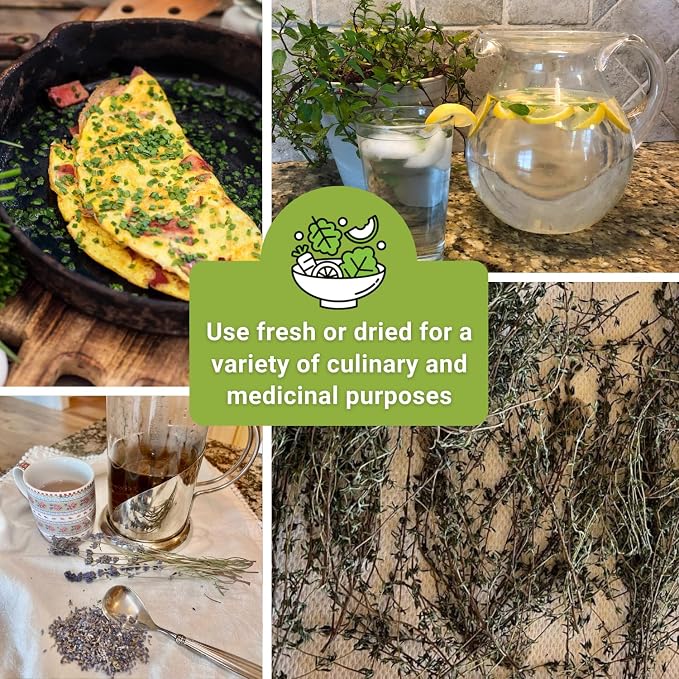 Sow Right Seeds - Perennial Herb Garden Seed Collection - Mint, Lavender, Sage, Common Chives, Lemon Balm, Garlic Chives, Thyme, Peppermint, Oregano and Marjoram - Non-GMO Heirloom Seeds for Planting