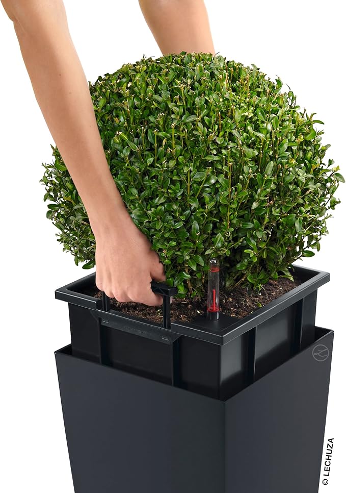 Lechuza CUBICO Color 22 Slate, Self-Watering Tall Planter, H16.1 L8.7 W8.7 in