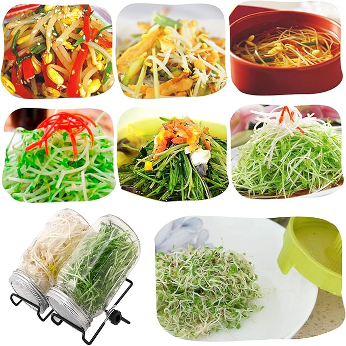 Lulonpon 2pcs Sprouts Growing Jar Kit, Wide Mouth Quart Mason Jars with Stainless Steel Screen Sprout Lids, 86mm,1000ml,Stand,Tray and Canning Brush,Seed Sprouter Set for Broccoli, Alfalfa, Mung Bean