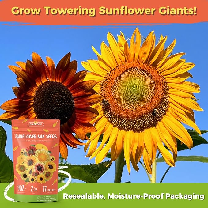 Sunflower Seeds for Planting | 3000+ Giant Mammoth Heirloom Bulk Seeds in 2oz Packet | High Germination, Open Pollinated, Attracts Pollinators for Home & Outdoor Gardens