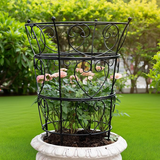Large Obelisk Trellis Peony Cage 24.6x17 Inches - Premium Metal Plant Support for Outdoor Gardens, Easy Assembly, Sturdy Design, Perfect for Climbing Plants