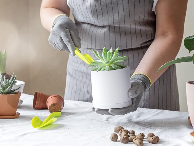 D'vine Dev Pack of 10 Plastic Plant Pots (2 Set of 6 Inch, 5.5 Inch, 5 Inch, 4.5 Inch, 4 Inch) Small Planter Pots for Plant with Drainage Holes and Saucers, White, 74-R-A