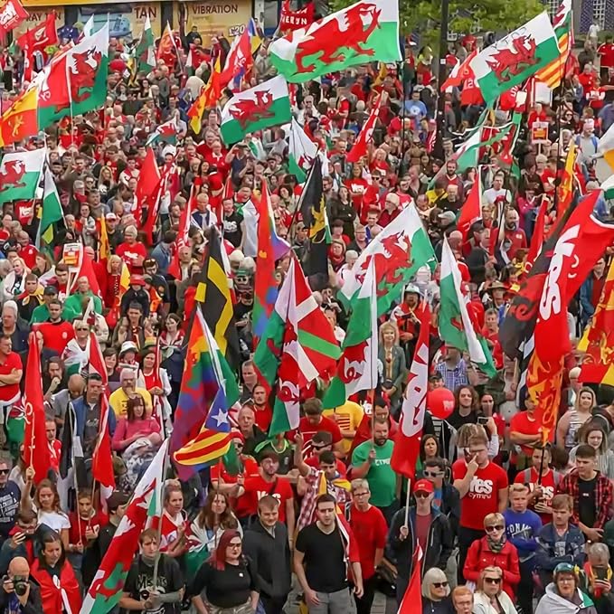 AhfuLife Wales Flag 3x5 Ft, Large Wales Flag for Outside - Double Side with Brass Eyelets for Olympic Party Decorations, Bar Garden Street Decoration Indoor Outdoor