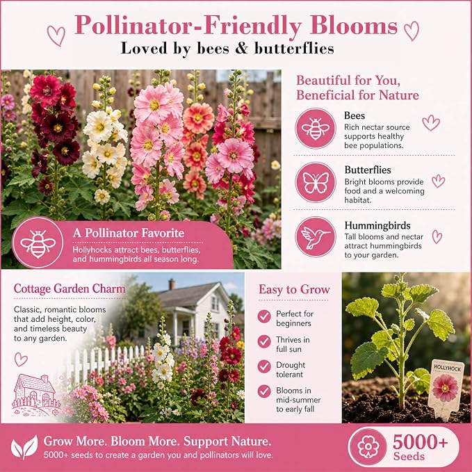 5000+ Hollyhock Seeds Bulk Pack - Mixed Color Tall Cottage Garden Blooms, Outdoor Flower Seeds for Fence Line Borders, Full Sun to Partial Shade