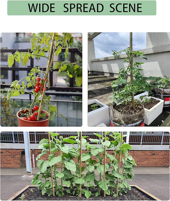 5 Ft Bamboo Stakes with 100 Twist Ties Natural Bamboo Garden Stakes for Tomatoes Cucumber Grapes Pole Beans Trees Potted Dahlia Flowers and Climbing Plants - Pack of 20 (58in, Approx 5FT)