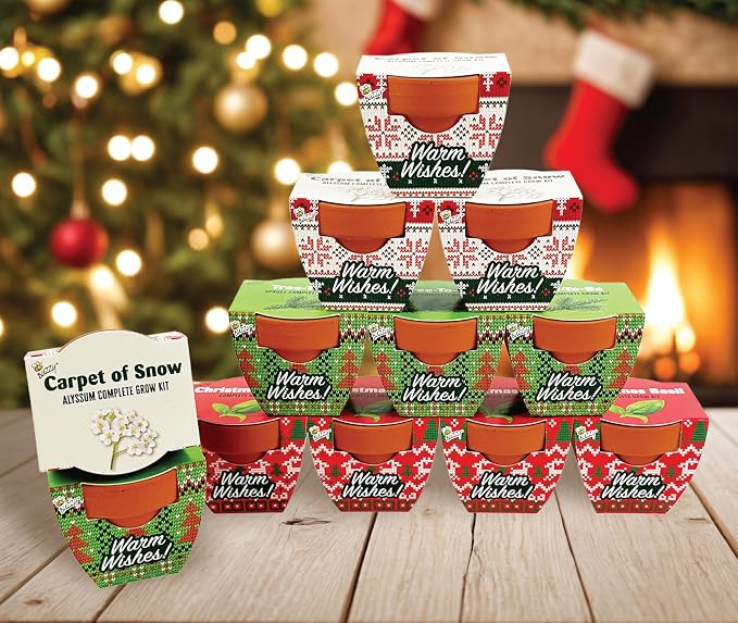 Buzzy Seeds Sweater Pattern Holiday Grow Kit 12-Pack - Mini Terracotta Pot Grow Set - Complete Indoor/Outdoor Gardening Kit with Seeds, Coconut Husk Growing Medium & Genuine Pots - 100% Grow Guarantee