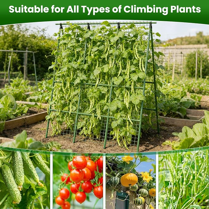 Cucumber Trellis for Raised Bed 48" L x 64" H, 16mm Adjustable A-Frame Garden Trellis with Net for Climbing Plants, Vertical Garden Vegetable Trellis for Zucchini Pea Bean Squash Grape Tomato Flowers