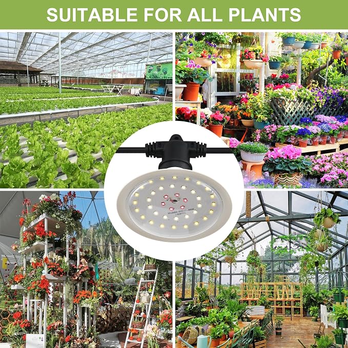 Outdoor Grow Lights for Plants, Full Spectrum Greenhouse Grow Light, Outdoor Waterproof Appearance Patent Design, 42FT Adjustable Cord for Vegetables, Seedlings, Flowers (12 Lights)