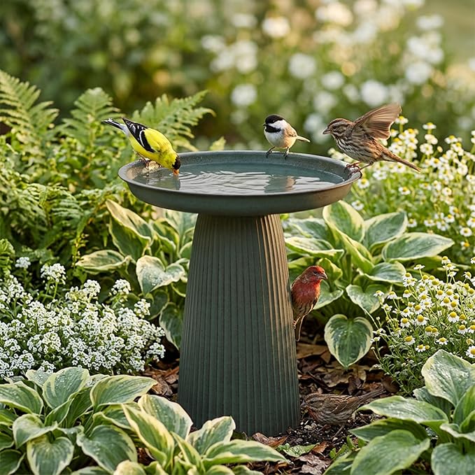 Sunnydaze Gleeful Garden 23" Iron Pedestal Bird Bath for Outside - Modern Shallow Basin Birdbath for Outdoors with UV-Protected Rust-Resistant Finish for Patio, Garden, Yard Decor - Matte Green