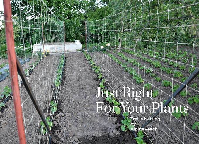 AlpineReach Trellis Netting 4ft x 328ft Heavy Duty Plastic White - 6 Inch Mesh Support Twine for Growing High Yield Tomatoes, Peas, Vine Climbing Plants Fruits Vegetables