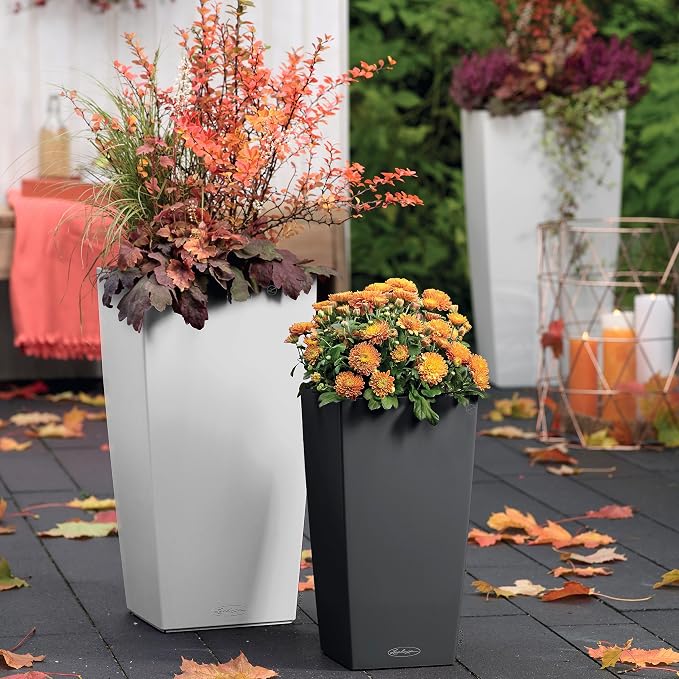 Lechuza 13138 Cubico Color 30 Self-Watering Planter for Indoor and Outdoor Use, 12" x 12" x 22", Slate