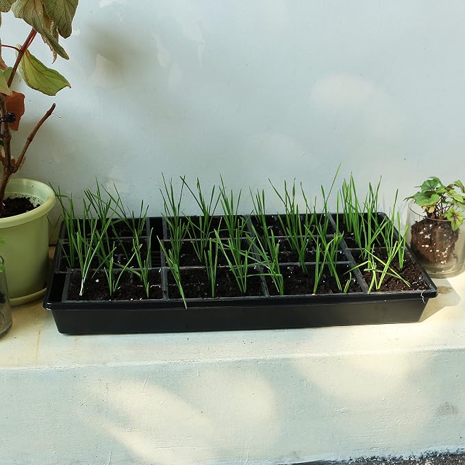 Gardzen 10 Pack Seed Trays, Reusable Plant Grow Trays, Ideal for Seed Starting, Microgreens, Indoor Gardening, and Greenhouse Nurseries - No Drain Holes, 20"x10"