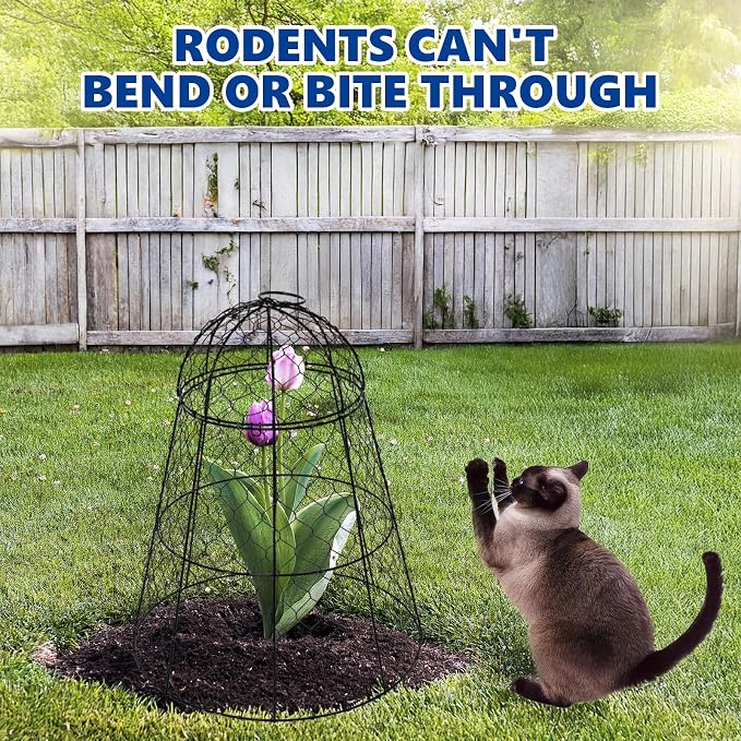Garden Cloches for Plants - Set of 12 Chicken Wire Plant Cages and Plant Protectors from Animals, 17.7" H x 12.8" D, Outdoor Vegetable and Flower Cages, Sapbontchi Chicken Wire Cloche (12)