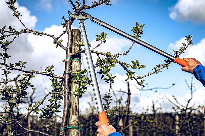 Original LÖWE Professional Anvil Lopper Garden Tools 22.080 | Use as Pruners, Garden Shears, Pruning Shears for Gardening | For cutting branches, twigs, trees & shrubs | 31.5 inches | Made in Germany