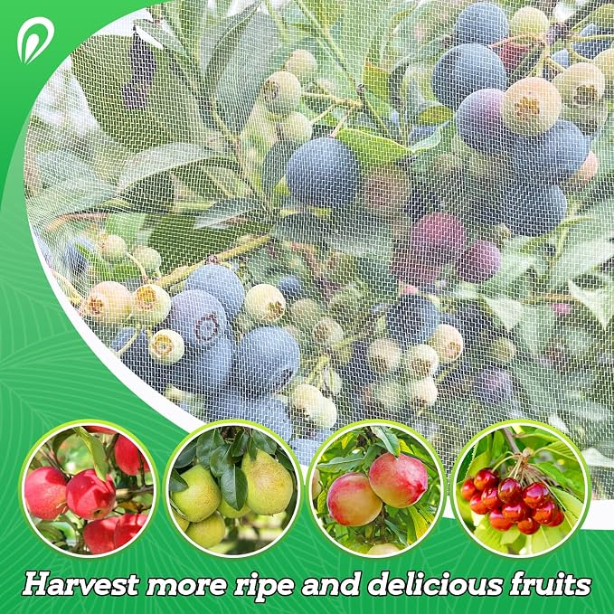 Easy Installation Fruit Tree Netting with Zipper & Drawstring - 6.2x6.2ft Ultra Fine Mesh Garden Protection Screen to Protect Pear Peach Apple from Bird Insect Bug Cicada Deer Squirrel