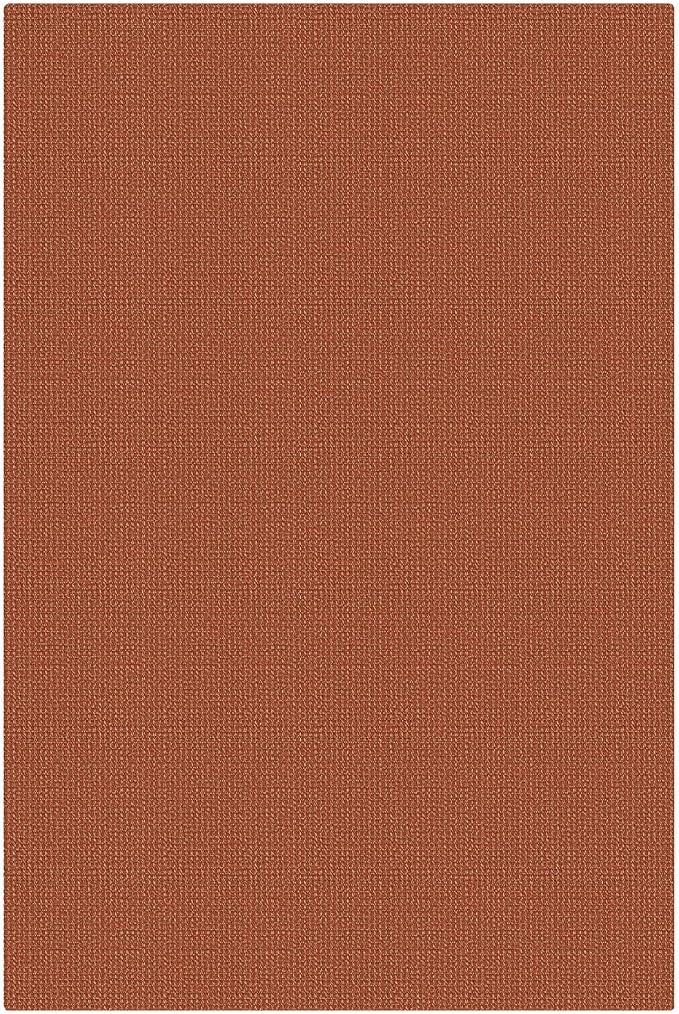 KOZYFLY Washable 4x6 Entry Woven Area Rug, Braided Throw Rugs for Entryway, Non Slip Door Mat Indoor Entrance, Front Porch Carpet for Foyer, Kitchen, Bedroom, Living Room, Burnt Orange/Tan