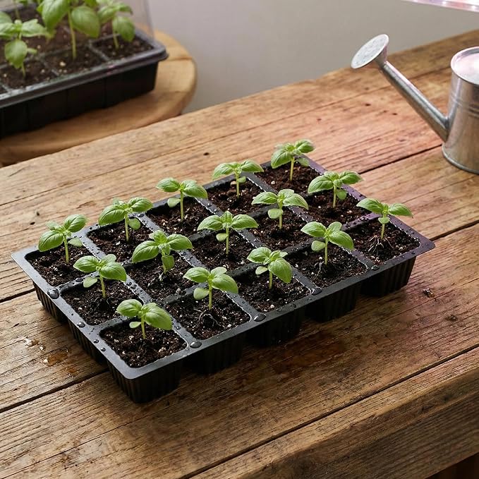 Mr. Pen 5-Set Seed Starter Tray Kits | Durable Plant Germination Trays with Humidity Vented Domes and Bases, Ideal for Seed Starting, Indoor Gardening