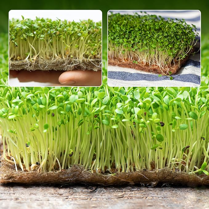 10 Pack Jute Grow Mat for Microgreens, 5" x 5" Hydroponic Grow Pads for Growing Tray Sprouting Trays Jute Fiber Seed Starter Planting for Micro Greens & Wheatgrass