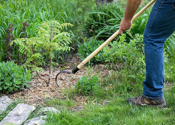CobraHead® Long Handle Weeder & Cultivator Garden Tool - Forged Steel Blade - Natural 48-Inch Hardwood Handle - Ergonomically Designed for Digging, Edging & Planting - Perfect for Big Gardening Jobs