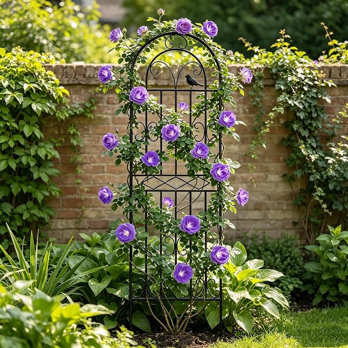 2 Pack 70.8"x19.7" Metal Gardon Trellis for Climbing Plants Flowers Outdoor, Rustproof, Heavy Duty, Black Coating Plant Support for Rose, Vines, Flowers, Perfect for Training Climbing Plants, Black