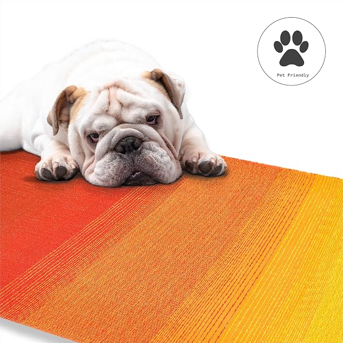 Fab Habitat Outdoor Rug - Waterproof, Fade Resistant, Crease-Free - Premium Recycled Plastic - Ombre - Large Patio, Deck, Sunroom, Camping, RV - Big Sur - Sunset - 6 x 9 ft
