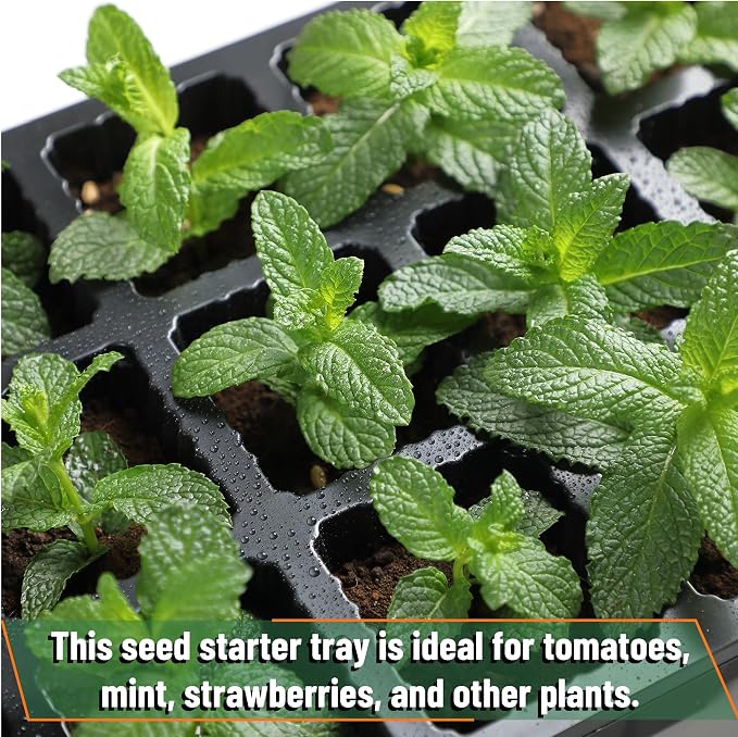 Mr. Pen- Seed Starter Tray Kits, 5 Set, Total 200 Cells | Durable Plant Germination Trays with Humidity Vented Domes and Bases, Ideal for Seed Starting