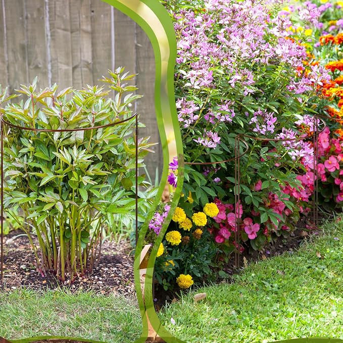 Vercraft 4 Pack 12 x 19 Inch Half Round Plant Support Stakes 1/4 Inch Heavy Duty Rustproof Metal Plant Cage, Weather Resistant Half Circle Garden Border Rings for Peony Hydrangea Rose Outdoor Flowers