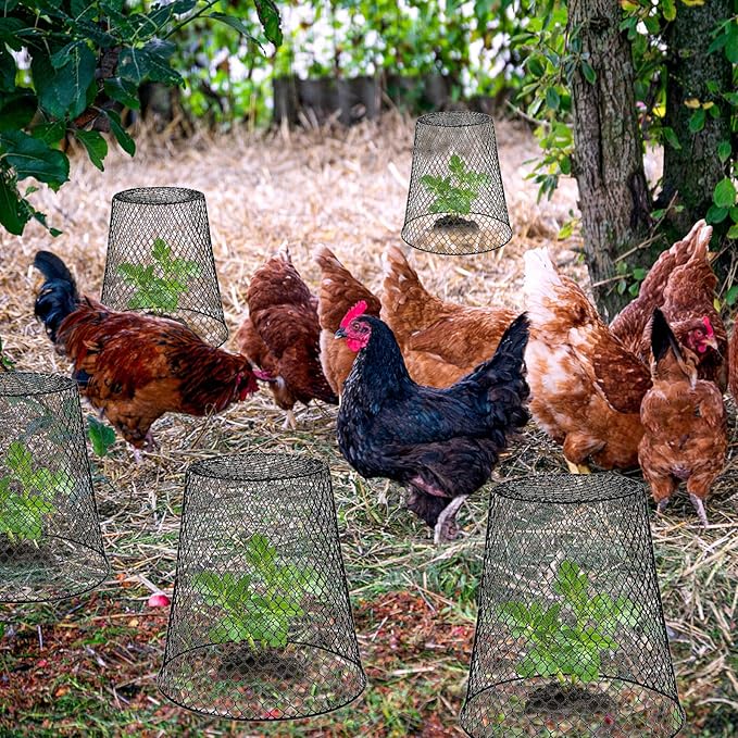 Chicken Wire Cloche Plant Covers - 20 Pack Garden Plant Cloche Metal Heavy Duty Plant Protectors from Animals for Keeping Bunnies Chicken Squirrels Birds Other Out (Black)