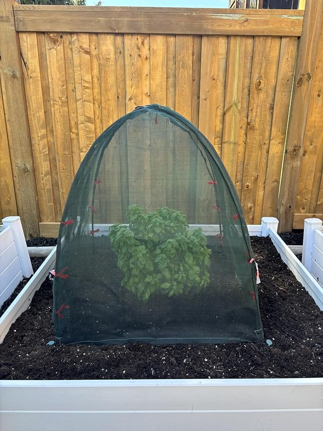 NuVue Products 25203 Pop-Up Garden Netting Animal and Bug Guard Covers with Ground Spikes, Mesh Plant Cover Tents for Pest and Animal Control, 52" x 52" x 54"