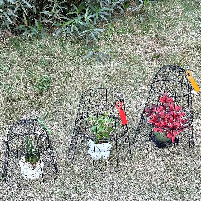 XMxoTxo 6 Packs 11.4" D x 17.7" H Garden Cloches for Plants,Upgraded Triple Combination,Rustproof Chicken Wire Cloches Flip-Top Design,Plant Protectors from Animals,Ideal for Outdoor Plant Protection