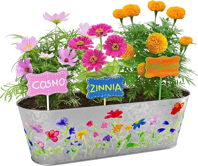 Dan&Darci Paint & Plant Flower Growing Kit for Kids - Gift Ideas Age 5 6 7 8-12 Year Old Girl - Birthday Crafts Gifts for Girls & Boys, Fun Gardening Kits, Art Projects for Ages 5-12 Years